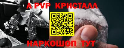 стафф Будённовск