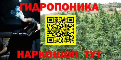 прущие крисы Бузулук