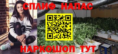 стафф Будённовск