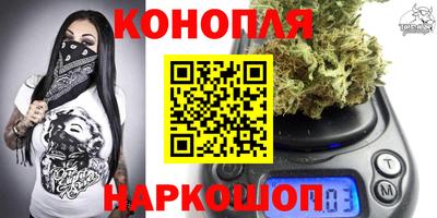 стафф Будённовск
