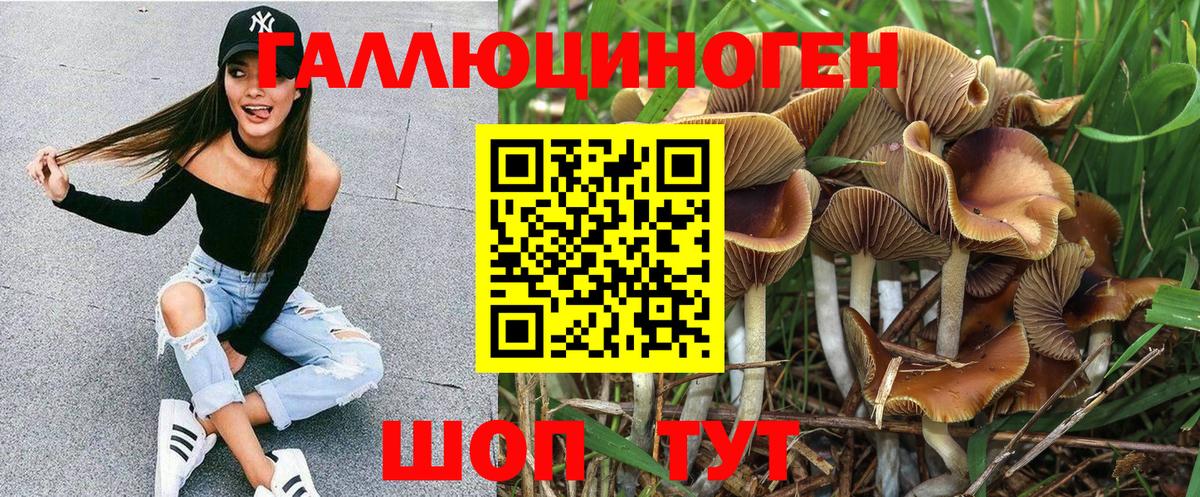 Галлюциногенные грибы Magic Shrooms Ревда