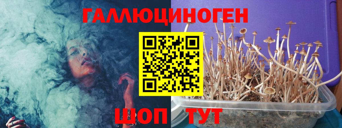 Псилоцибиновые грибы мицелий  Вход с VPN  где продают наркотики  Ревда 